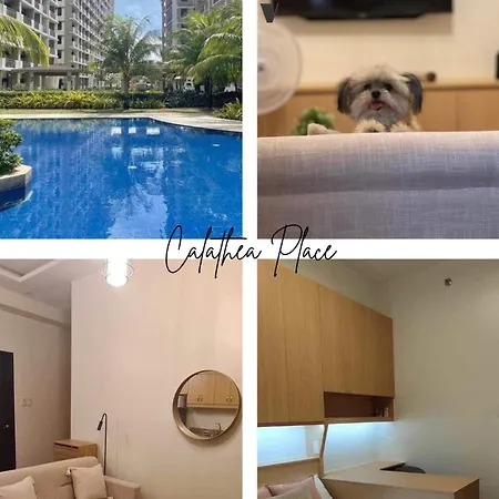 Las Vistas Staycation
